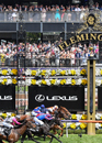 The 2019 Melbourne Cup Carnival Online Auction