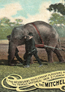 Coins & Banknotes, Postcards, Stamps and Postal History