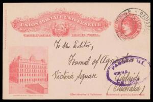 INWARDS MAIL: 1917 scenic 2c Postal Card ("UNIVERSIDAD MONTEVIDEO") from Uruguay's Natural History Museum with double oval 'PASSED BY/4TH MD___/CENSOR' h/s in violet applied at Adelaide. Gorgeous!