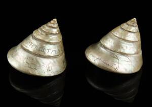 Two sailor engraved shells, 19th Century, one engraved "Toad Miller" dated 1893 the other engraved "Marry Christmas". 8cm high, 7.5cm wide