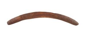 Boomerang, Western Australia, carved hardwood. Most likely 19th Century. 57cm