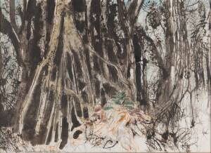 CHARLES BUSH&nbsp;Fikus Forrest, Gazelle Peninsula&nbsp;&nbsp;