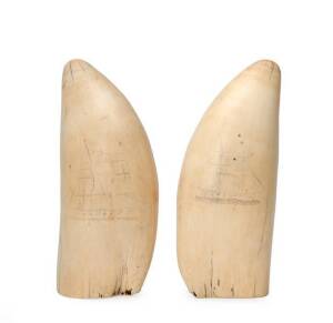 An impressive pair of scrimshaw whales teeth with scenes of tall ships & portraits. Weighing in at just under 2kg the pair, 18cm each