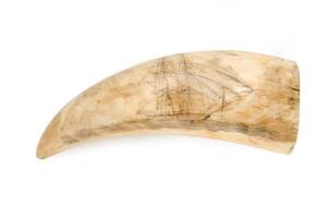 A scrimshaw whales tooth with tall ship motif, 19th Century.14cm