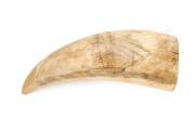 A scrimshaw whales tooth with tall ship motif, 19th Century.14cm