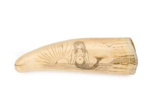 Scrimshaw whales tooth with tall ship & mermaid on reverse, 19th Century. 13.5cm