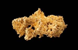 Gold nugget, discovered 1908 in Palmer river area, Queensland. Held until1988.