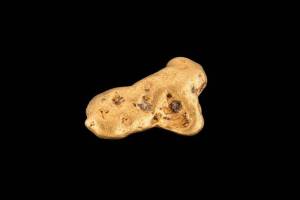 GOLD NUGGET. A beautiful river washed nugget discovered in the New South Wales gold fields by a prospector panning for alluvial gold. An impressive find without the assistance of a metal detector this is a sizable nugget for New South Wales. Weighing in a