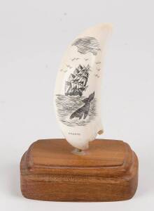 A scrimshaw whales tooth on wooden base, 20th Century. Tooth 9cm
