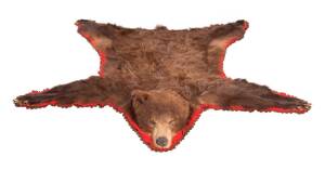 A brown bear skin rug with taxidermy head on felt backing, early 20th century