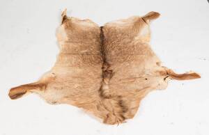 A Roan Antelope skin, Tanzania, early to mid 20th Century. 173 x 150cm