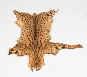 Two Serval cat skins, South African, mid 20th Century. Largest 123 x 121cm