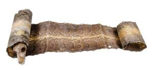 An African python skin, mid 20th Century. 