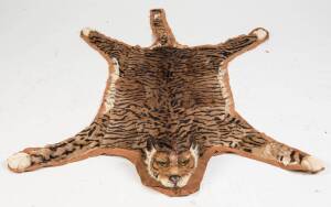 An unusual tiger skin cat skin rug with taxidermy head, 20th century. 218cm x 140cm 