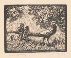 LIONEL ARTHUR LINDSAY: Pheasant, woodblock, signed, titled and editioned to margin, 7.5 x 9 cm 