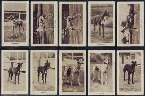 1927 Ogdens "Greyhound Racing" [25]; 1928 Ogdens "Greyhound Racing" [25]; 1939 B.Morris & Sons "Racing Greyhounds" [25]. G/VG.