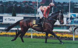 Black Caviar group with photo signed by Luke Nolen & limited edition booklet "Black Caviar Collection"; plus photo of Makybe Diva signed by Glen Boss & Lee Freedman.