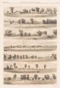 CRICKET ENGRAVINGS, 1873-86, "The All England Eleven v Eighteen of Victoria"; "Practising for the All England Match"; "The Metropolitan Cricket Grounds" & "International Cricket Match on the Ground of the Germantown Club". All framed, various sizes. - 4