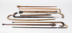 A group of 10 walking sticks including fiddleback blackwood.