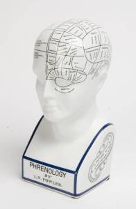 A glazed porcelain phrenology bust. 30cm. 