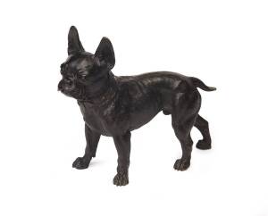 A bronze statue of a French Bulldog, late 19th Century. 17cm high, 20cm long. 