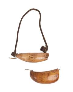 Two Fijian Tabua whales tooth chieftains necklaces (1 with rope), 19th Century. 16cm & 18cm. 