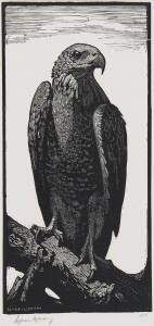 LIONEL ARTHUR LINDSAY (1874-1961): Brown Hawk, woodblock ed. 100, signed and editioned to margin, 15.5 x 7 cm