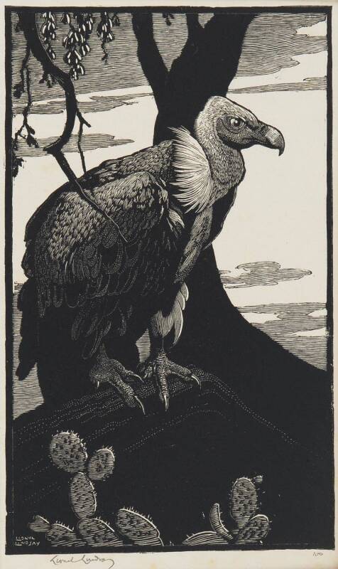 LIONEL ARTHUR LINDSAY (1874-1961): Indian Vulture, woodblock ed. 100, signed and editioned to margin, 18.5 x 11 cm