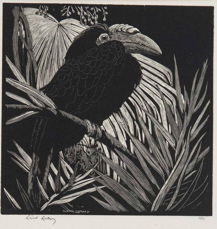 LIONEL ARTHUR LINDSAY (1874-1961): Hornbill, woodblock ed. 100, signed and editioned to margin, 14 x 14 cm