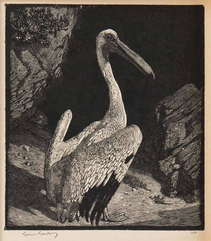 LIONEL ARTHUR LINDSAY (1874-1961): The Pelican, woodblock ed. 100, signed and editioned to margin, 12 x 11 cm