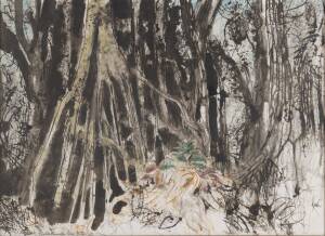 CHARLES BUSH, Fikus Forest, Gazelle Peninsula, watercolour, signed 'BUSH' lower right and titled lower left, 36 x 50 cm  