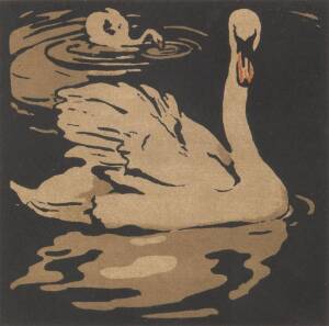 WILLIAM NICOLSON: British (1873-1949), Swans, Print-multiple, woodcut in colours. 13 x 12.5 cm