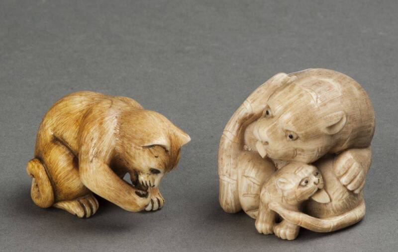 NETSUKE: Japanese carved ivory tiger group; & feeding cat. 4cm each