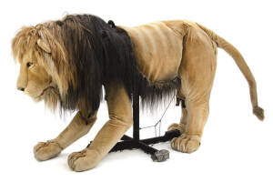 ASLAN: Impressive oversize puppet from the Lion the Witch & the Wardrobes Australian tour. Length 2.3m, Height 1.6m