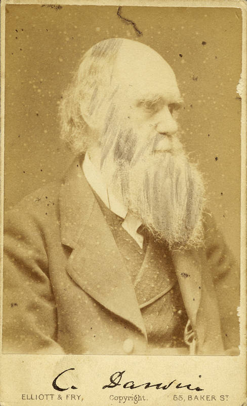 CHARLES DARWIN: Printed autograph on carte de visite by Elliott & Fry of London c1870. Good condition