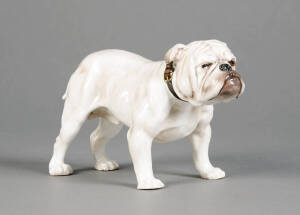 ROYAL DOULTON BULLDOG (HN1072): Porcelain dog statue designed by Frederick Daws, issued fromm 1932-1960. Length 24cm, height 13cm. Excellent condition.