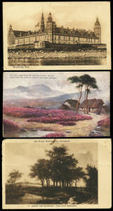 WORLD POSTCARDS: North America; Tonkin/China; South Africa; European; Danish etc. Inspection will reward. 300+ cards