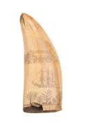 A scrimshaw whales tooth, 19th Century. 16cm.