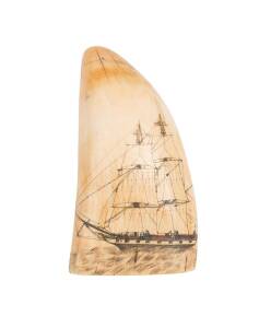 A scrimshaw whale's tooth with tall ship and portrait of King Richard II on reverse, 19th Century. 13.5cm.NB: This lot has been identified at the time of cataloguing as containing organic material which may be subject to restrictions regarding export. 