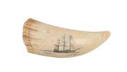 A scrimshaw whale's tooth with scene of a tall ship. 15cm.NB: This lot has been identified at the time of cataloguing as containing organic material which may be subject to restrictions regrading export. 