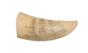 A scrimshaw whale's tooth of a tall ship, 19th Century. 11cm.NB: This lot has been identified at the time of cataloguing as containing organic material which may be subject to restrictions regrading export. 