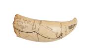 A scrimshaw whale's tooth depicting coastal chart in South Australia engraved "South Australian Whaling Co. Encounter Bay". 15cm