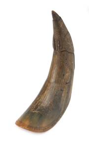 An early scrimshaw horn engraved "WARREE 1854" and carved with a lesser bird of paradise. Believed to be from the Warree homestead south of Gladstone Queensland. 18cm