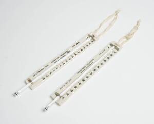 Two standard mercury thermometers by Dobbie Bros. Instruments of Melbourne, one in fahrenheit the other in centigrade, both mounted on ceramic plates, 20th Century. 28cm each