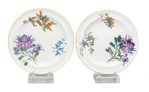 A pair of Wedgwood porcelain cabinet plates with "Australian Flora" back stamp, circa 1883 and 1884. 25cm diameter