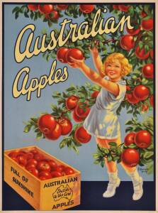 "Australian Apples" c. 1935 colour lithograph signed "F. Kenwood Giles" in image lower right, laid down on linen; 50.5 x 37cms.