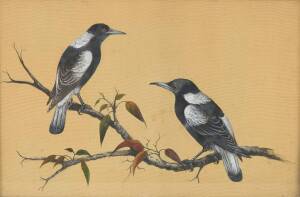 Folk art oil painting on fabric of two magpies, early 20th Century. 35 x 53cm 