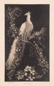 LIONEL ARTHUR LINDSAY [1874-1961]: Morning Glory, woodblock, signed, titled and inscribed to margin, 25.5 x 14.5 cm