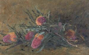 DAISY ROSSI [1879-1974]: "Banksia", oil on canvas, signed "D.Rossi" lower right, title in pencil verso, 50 x 80cm