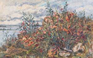 DAISY ROSSI [1879-1974]: " Templtonia", oil on canvas, signed lower right, pencil title verso, 50 x 80cm